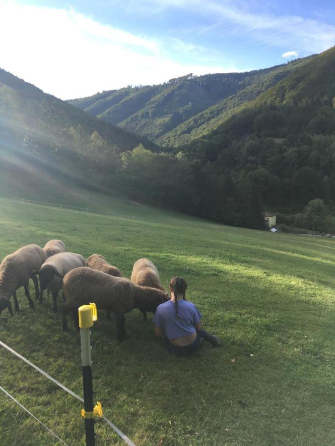 Buechlhof - App. Himmelalm Apartment Lilienfeld ภายนอก รูปภาพ